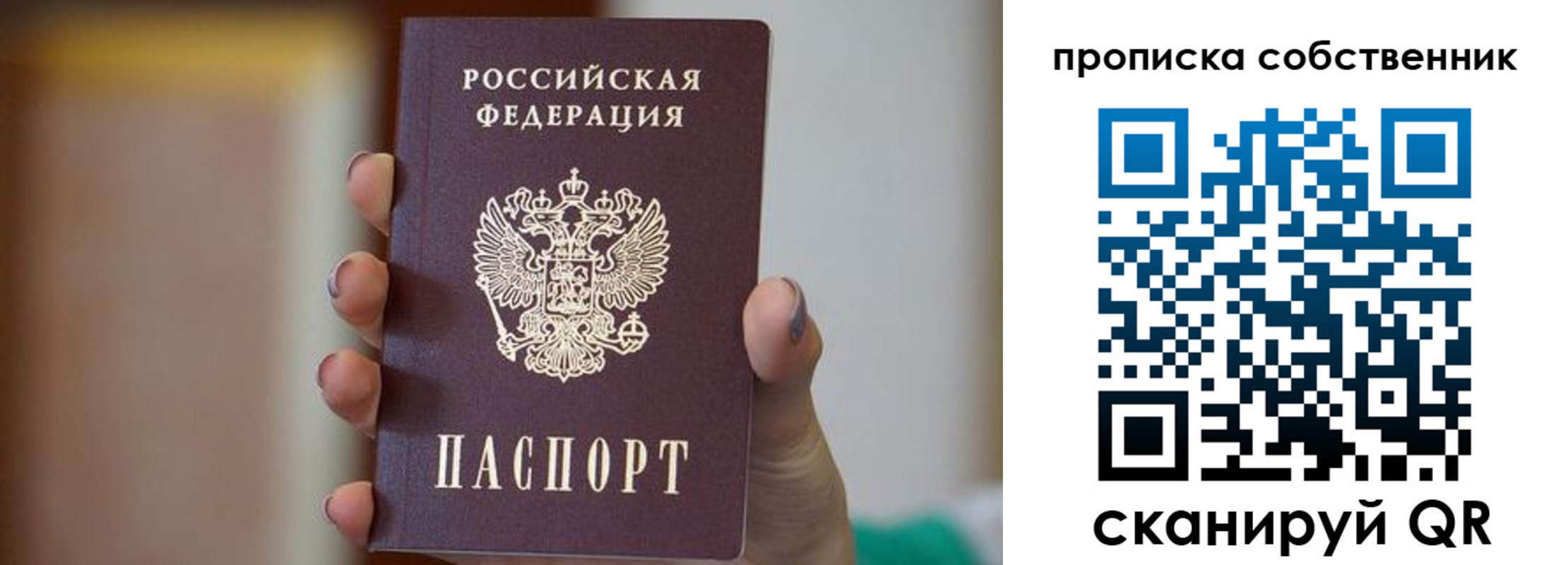 прописка поиск в Добрянке